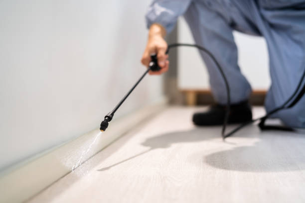 Licensed Cockroach Control service in Santa Clara, CA - Nex Pest Control
