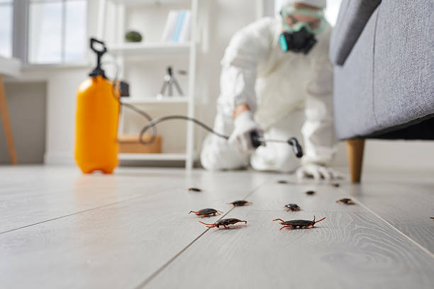 Trusted Fumigation Services service in Santa Clara, CA - Nex Pest Control